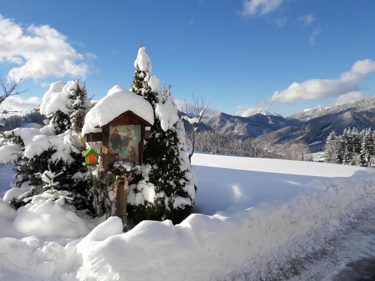 Biobauernhof Obereck Apartamento Göstling an der Ybbs Exterior foto