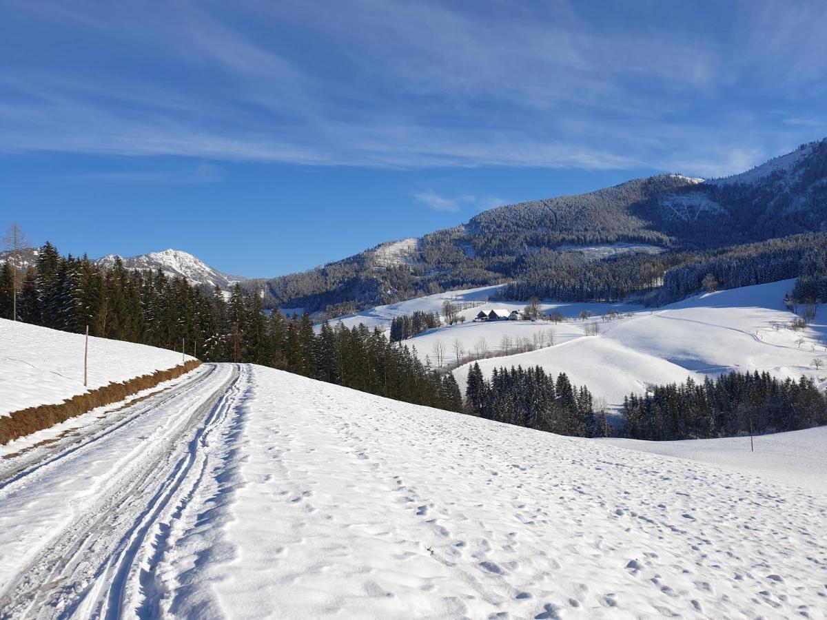 Biobauernhof Obereck Apartamento Göstling an der Ybbs Exterior foto