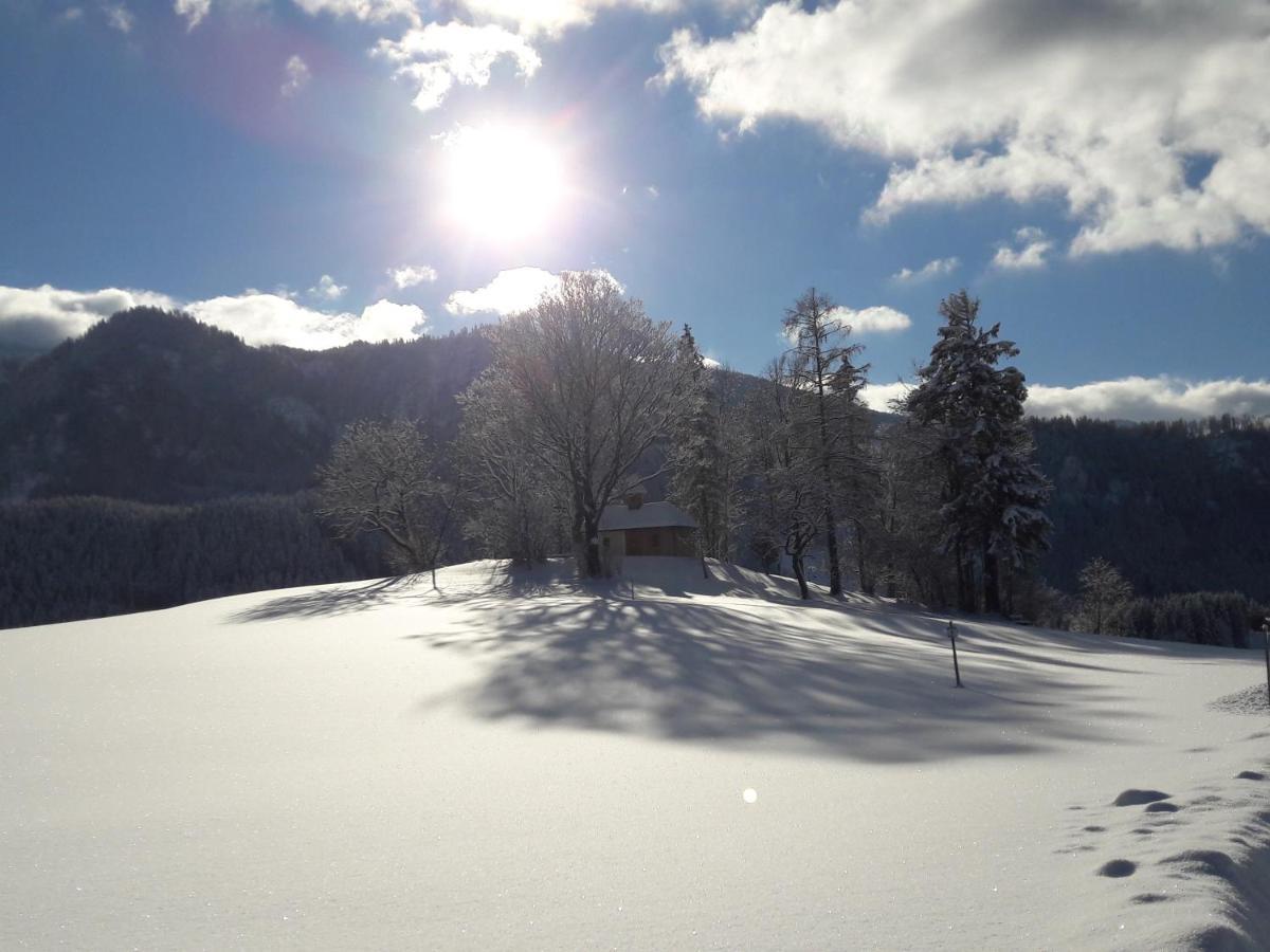 Biobauernhof Obereck Apartamento Göstling an der Ybbs Exterior foto
