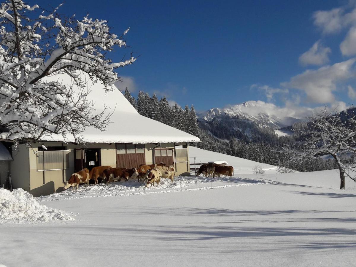 Biobauernhof Obereck Apartamento Göstling an der Ybbs Exterior foto
