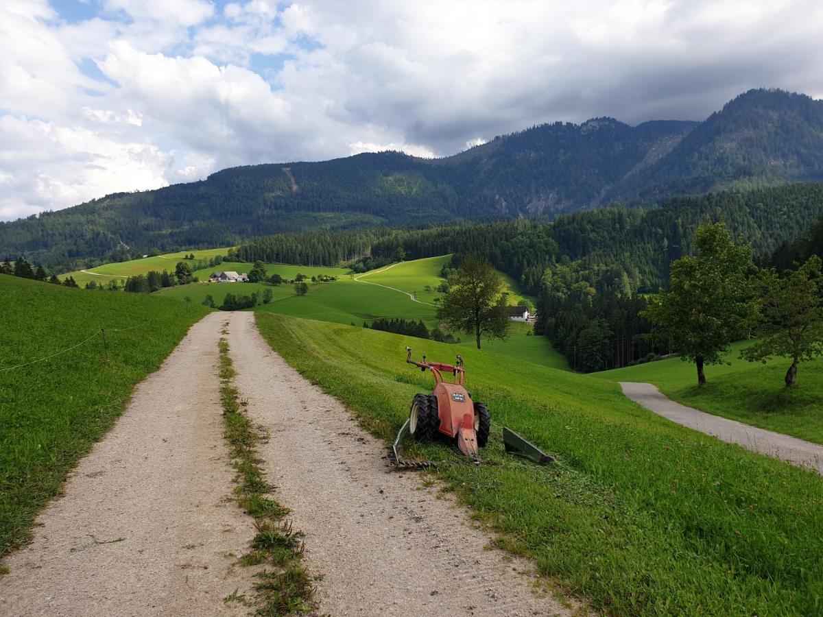 Biobauernhof Obereck Apartamento Göstling an der Ybbs Exterior foto