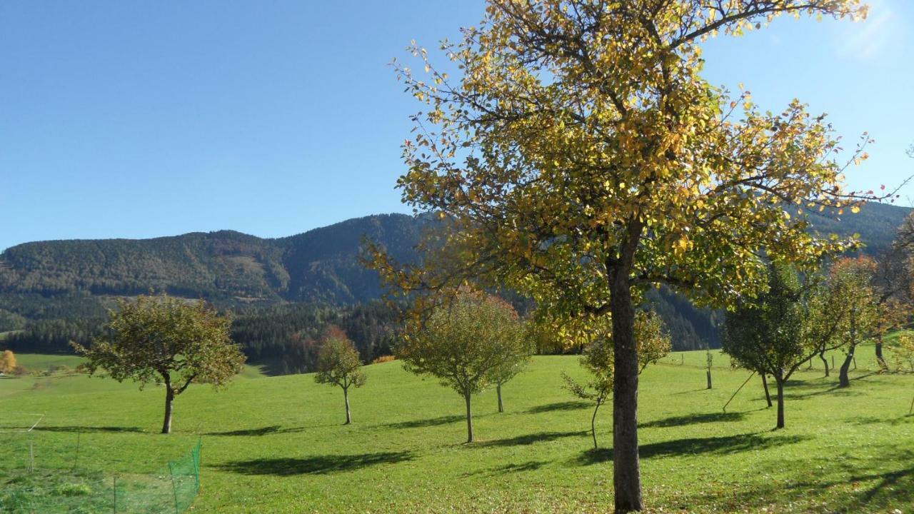 Biobauernhof Obereck Apartamento Göstling an der Ybbs Exterior foto