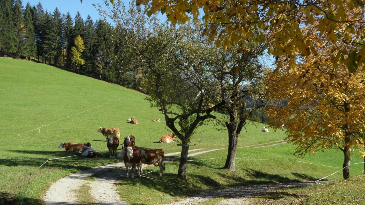 Biobauernhof Obereck Apartamento Göstling an der Ybbs Exterior foto