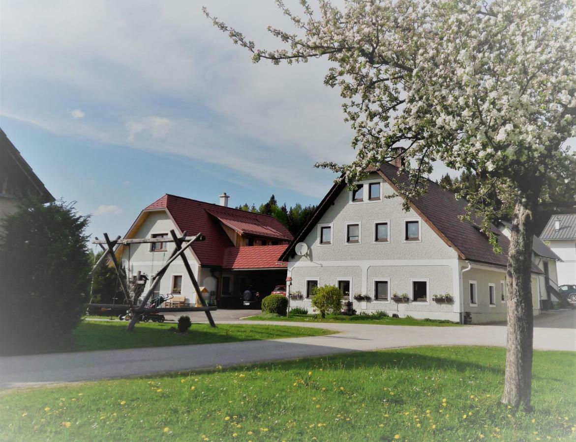 Biobauernhof Obereck Apartamento Göstling an der Ybbs Exterior foto