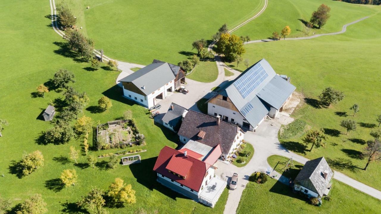 Biobauernhof Obereck Apartamento Göstling an der Ybbs Exterior foto