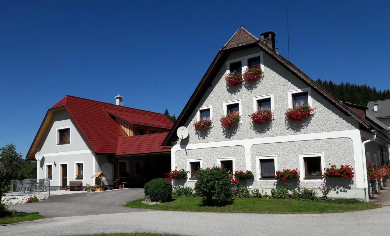 Biobauernhof Obereck Apartamento Göstling an der Ybbs Exterior foto